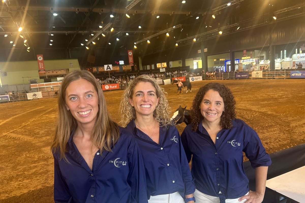 En Nuestros Caballos, las veterinarias Ana Flores Bragulat, Carolina Alonso y Catalina Castañeira