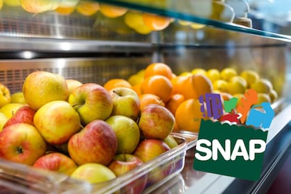 En Nueva Jersey, los pagos de SNAP se realizan los primeros cinco días del mes (Pexels/Lukas-SNAP)