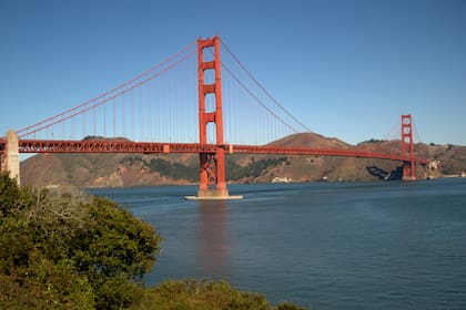 En Nueva York y San Francisco, la demanda de alquileres cayó entre un cuarto y la mitad