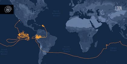 En octubre de 2020, la compañía confirmó que uno de sus globos había estado 312 días volando alrededor del mundo, usando las corrientes de aire de la estratósfera para viajar