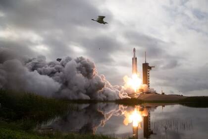 En octubre de 2023, un cohete de SpaceX lanzó la nave Psyche (Captura: NASA)