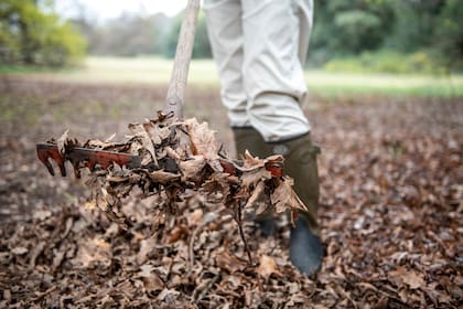 En otoño, es ideal usar lo que ya hay en casa para lograr un compost eficiente, seco, sin olores ni bichos