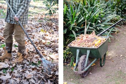 En otoño, las hojas secas pueden usarse en el compost o como mulch