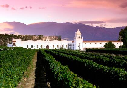 En Patios de Cafayate, el placer de elegirlos también está en su política de gestión sustentable