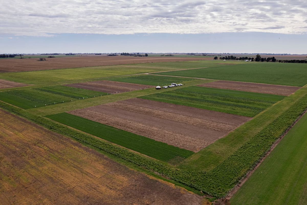 En Pergamino Bayer tiene un Learning Center donde aplica manejos y tecnologías con un enfoque en la agricultura regenerativa