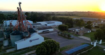 En Pergamino, sobre ruta 32, en cuatro hectáreas, están sus oficinas. Allí, además poseen una capacidad de almacenaje en silos y celdas a granel de 6500 toneladas con aireación, mientras que el área de clasificación, depósito y embolsado es de 6400 m2 cubiertos