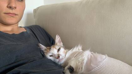 En plena recuperación
