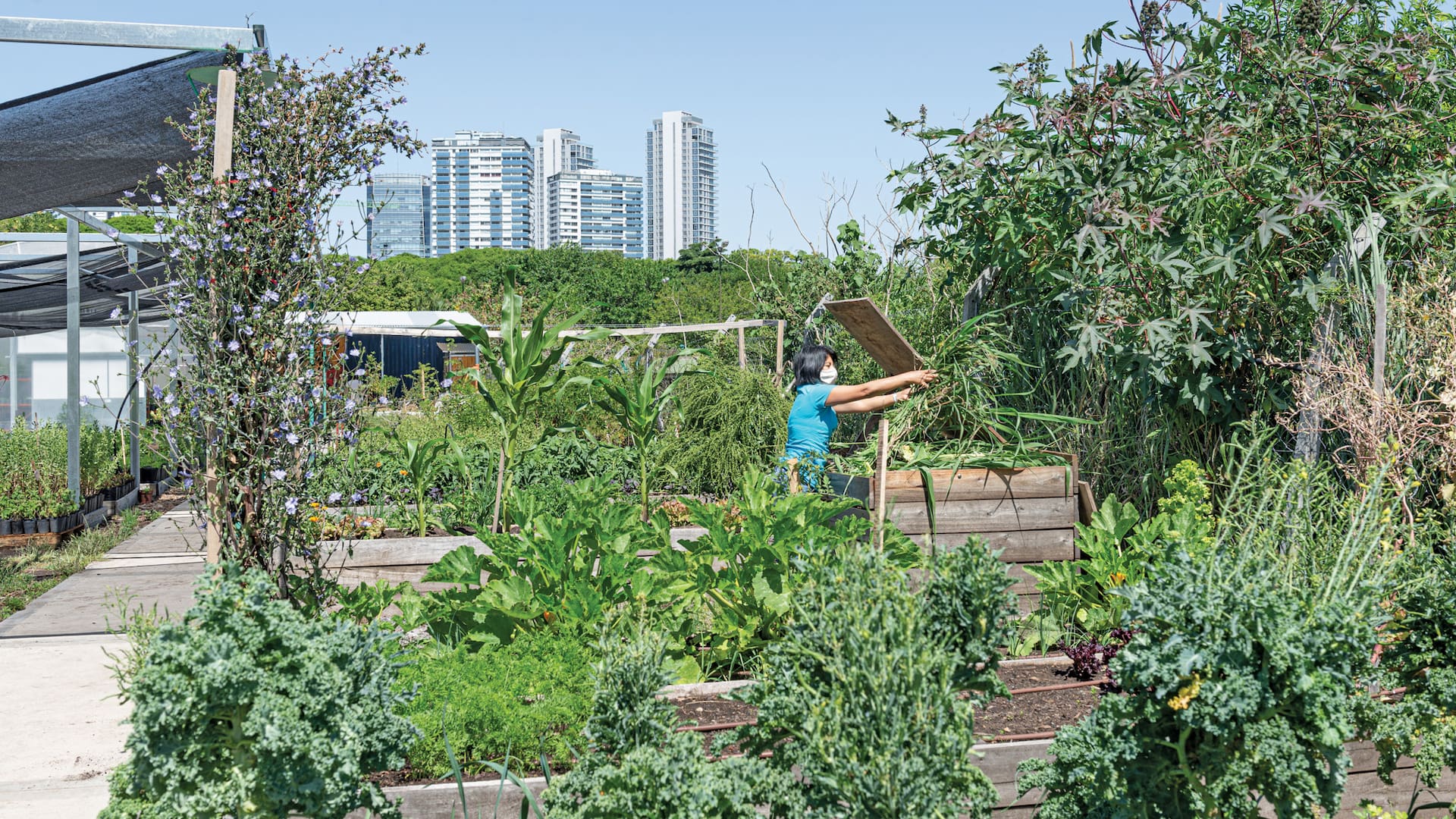 En el impecable invernáculo, se inician los trabajos de siembra, tanto de plantines de huerta como de nativas.
