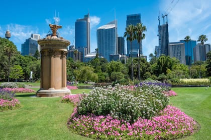 En plena ciudad de Sidney el jardín botánico se presenta como un oasis verde