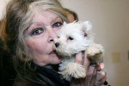 En plena zona elegante de París, gatos, papagallos y perros daban vuelta por su fundación