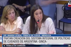 En plenario de Diputados, se inició el debate sobre tareas de cuidado.