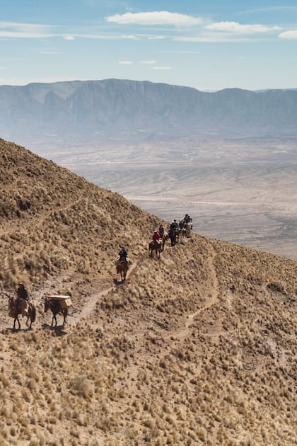 Quinto día de cabalgata, durante el cruce de la sierra del León Muerto.