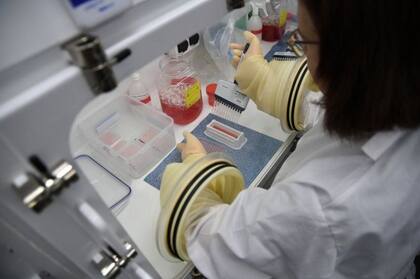 En Porton Down trabajan para erradicar todo tipo de enfermedades infecciosas