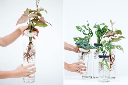 En Pötit, uno de los viveros más fashion de Palermo, ofrecen hidros con un diseño reversionado de los frascos y jarrones pero con tapa, que puede ser de madera o metal. Los precios, con plantas incluidas, rondan entre $ 2000 y $ 2600. www.potit.com.ar