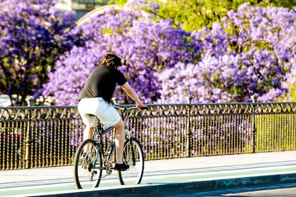 En primavera emergen miles de especies de flores que decoran los paisajes
