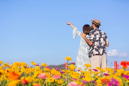 En primavera habrá temperaturas más cálidas y florecerá la naturaleza (Web/Freepik)