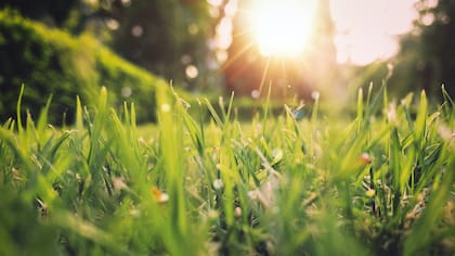 En primavera suelen tener lugar diferentes festividades
