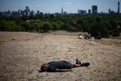 En Primrose Hill, uno de los puntos privilegiados para contemplar Londres desde el norte, queda poco de una extensión que habitualmente se caracteriza por su intenso verdor