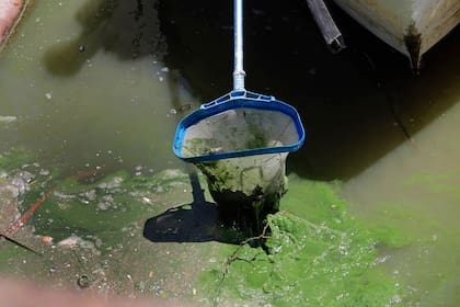 Con limpieza física, corrección química y paciencia, es posible recuperar el agua