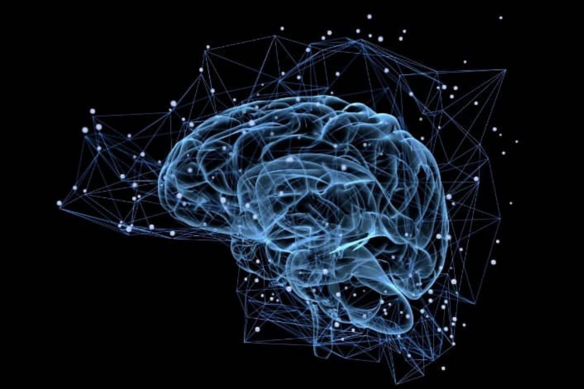 ¿En qué espectro de androginia cae tu cerebro?