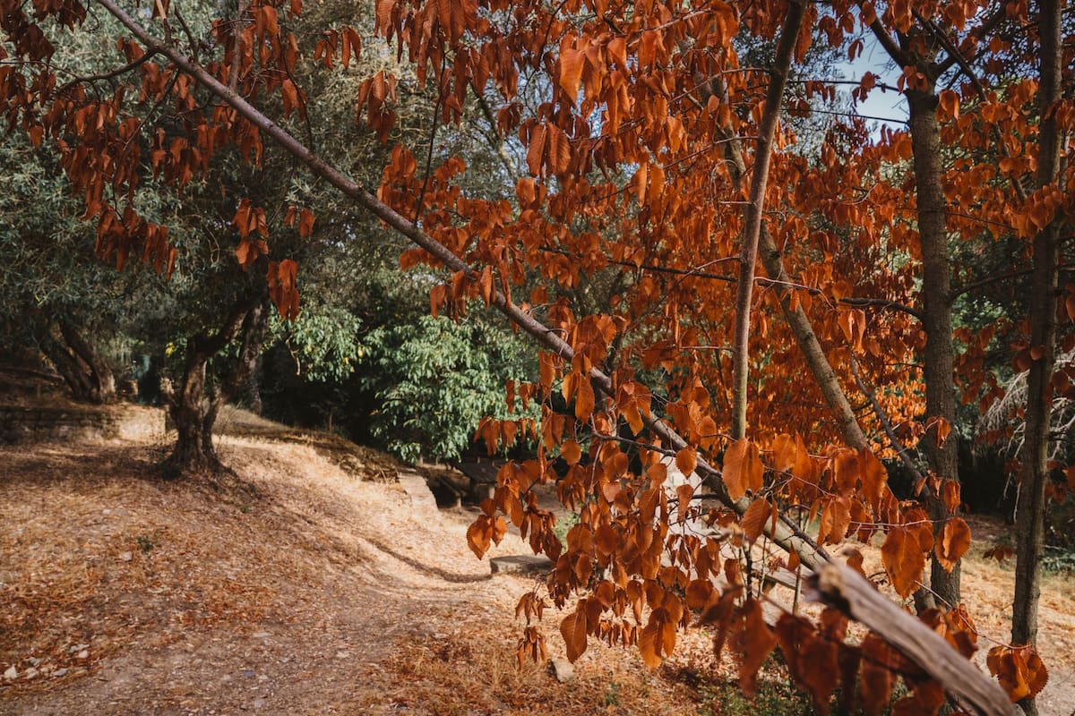 En qué fecha y a qué hora finaliza el verano y llega el otoño a Texas