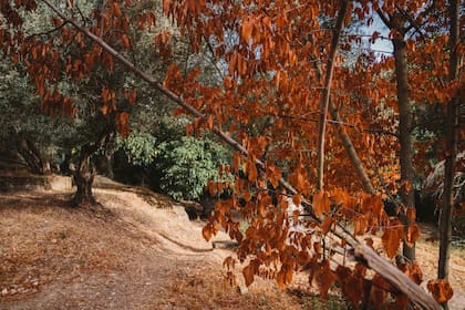 En qué fecha y a qué hora finaliza el verano y llega el otoño a Texas