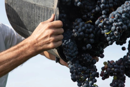 En qué situación se encuentran las economías regionales