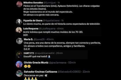 En redes sociales le brindaron el último adiós a la actriz (Captura X)