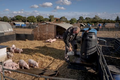En Reino Unido, donde el Brexit ha dificultado el acceso a los inmigrantes procedentes de Europa, una encuesta realizada en junio a 5700 empresas reveló que el 70% había tenido problemas para contratar nuevos empleados