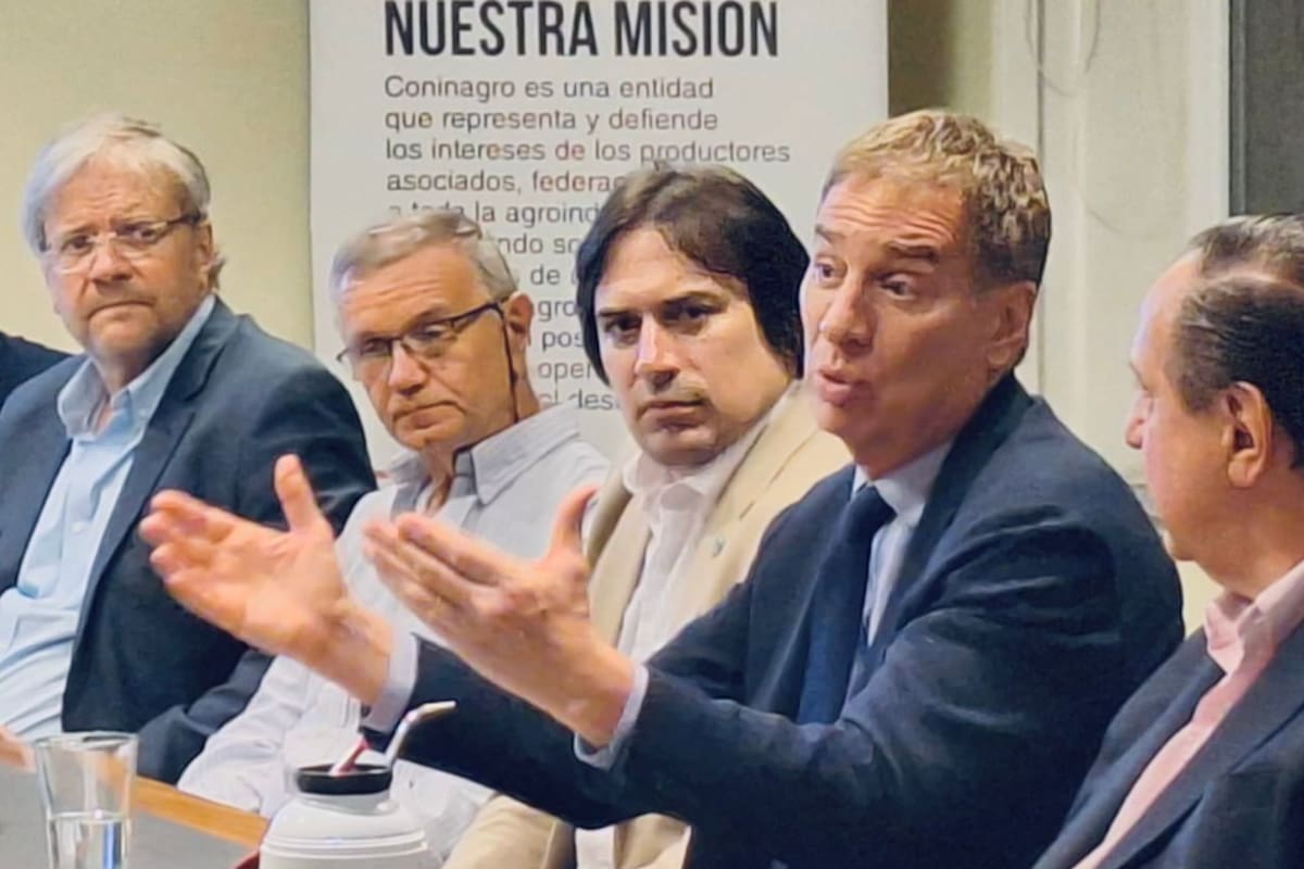 En relación con la reforma laboral Santilli afirmó: “Soy muy positivo en que tengamos media sanción la semana que viene en el Senado"