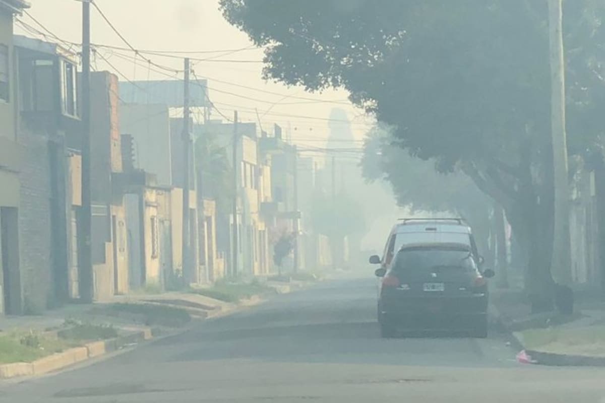 En Rosario viven días de preocupación por la reanudación de los incendios (Foto Twitter @Sorgin1984)