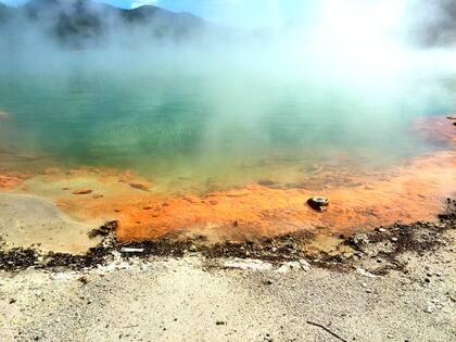 En Rotorua, Nueva Zelanda, hay una intensa actividad volcánica y geotérmica, que se manifiesta en géiseres, pozas de lodo hirviendo, fumarolas y un característico olor a azufre.