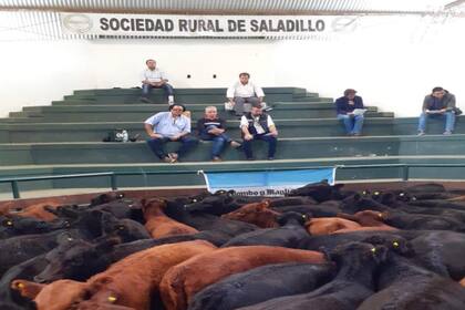 En Saladillo se hizo una de las subastas de la semana pasada