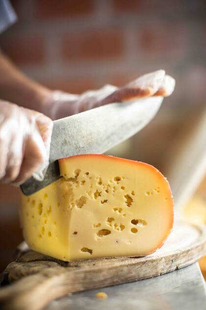 En Saldungaray, Campo Udi sorprende con sus deliciosos quesos sardo, pategrás, fontina, cuartirolo y saborizados, todos hechos con leche vacuna de tambo propio.
