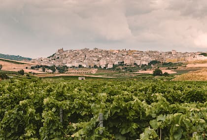 En Sambuca, Sicilia, se destacan los beneficios económicos de las comunidades rurales.