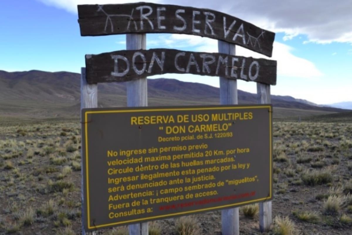 En San Juan, un vigilador privado y otras catorce personas fueron detenidas mientras cazaban especies autóctonas que debían proteger