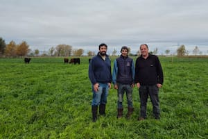 En un campo produjeron un 70,8% más de carne con una abrupta caída de la huella ambiental y el caso abre la puerta a un mercado digital