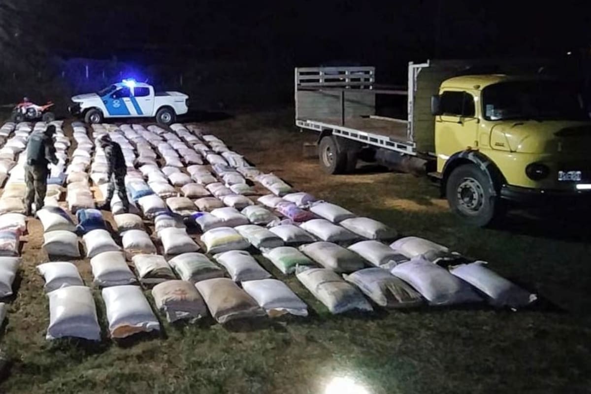 En Santo Tomé, Corrientes, Gendarmería incautó 140 toneladas de soja que se transportaban en cinco camiones que se dirigían a Misiones