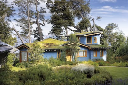 En Savia Madre Eco-Lodge hay tres casas y tres lofts con servicios y espléndidas vista al lago.