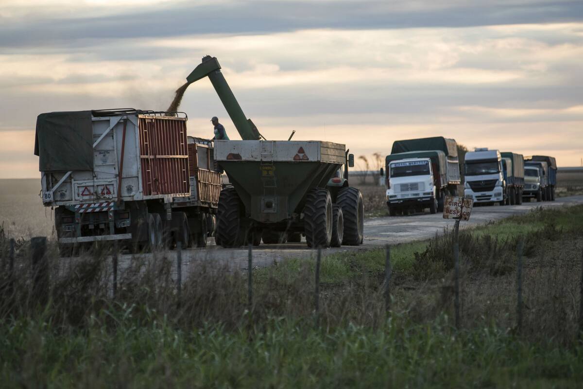 En sectores de la exportación sostienen que el decreto debería haber permitido también registrar soja de la nueva campaña