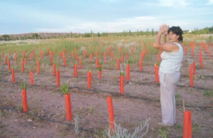 En Senillosa, durante los comienzos en 2009