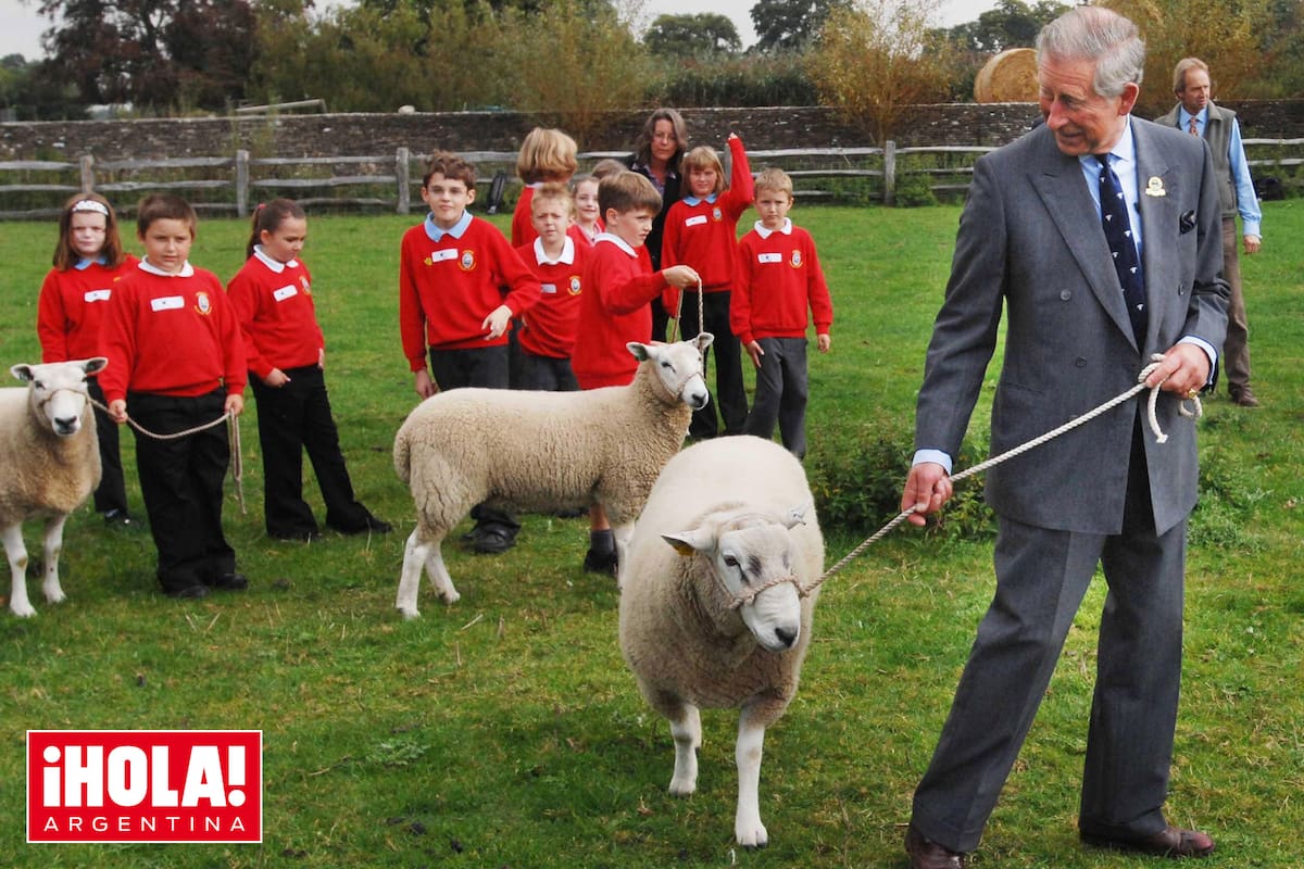 En septiembre 2007, el entonces Príncipe de Gales recibió a un grupo de niños de la escuela Avening Primary School en su campo y les mostró ovejas. Dijo que para él era una tragedia que los chicos crecieran sin tener idea de dónde vienen los alimentos que consumen.
