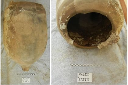 En Sevilla encontraron 19 anforas que fueron enterradas en el siglo IV