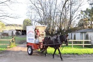 En Sierras Bayas, Corridoni saliendo de su granja en un carro repartidor de leche