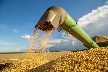 En soja la alícuota pasa de 26 a 24%
