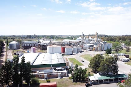 En su aniversario número 50, con tres unidades de negocio, integración total de procesos, ahora apuestan a una inversión de US$6 millones para generar energía propia