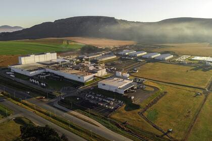 En su complejo industrial de Balcarce, McCain hoy procesa 400.000 toneladas anuales de papa