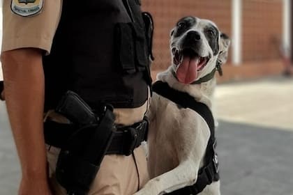 "En su despedida, a algunos de mis compañeros se les cayeron un par de lágrimas”, cuenta el guía Gordillo