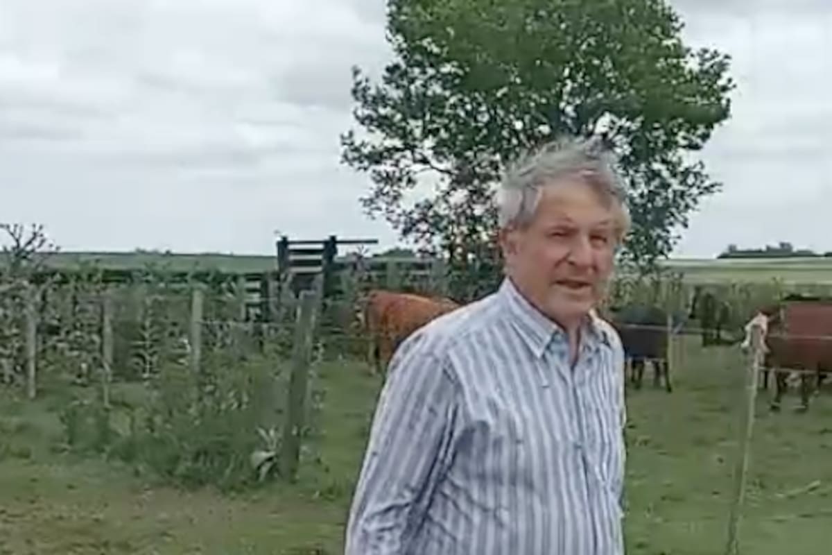 En su establecimiento de 159 hectáreas, Aguilar tenía unos 140 animales y en un rato perdió cerca de un 25% de todo su rodeo