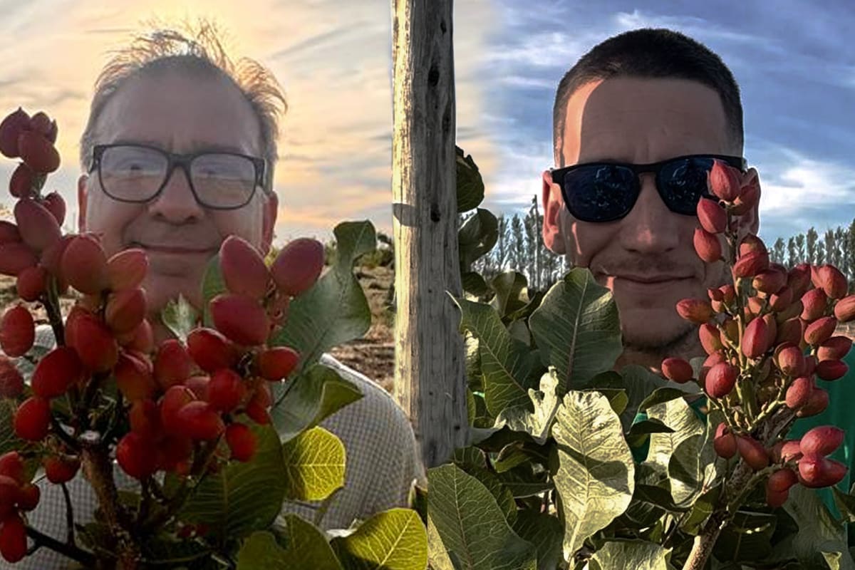 En su finca de pistachos en Casa de Piedra, Fernando y Santiago Gutiérrez, socios y gerentes de PampaPist